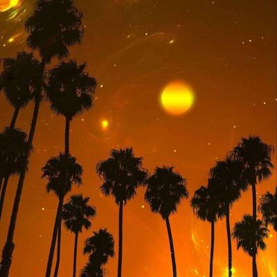 196体育(官方)APP下载安装