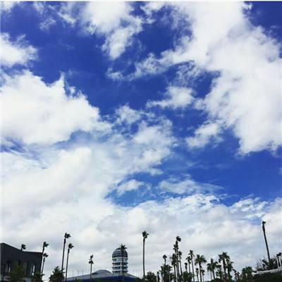 必博app下载地址