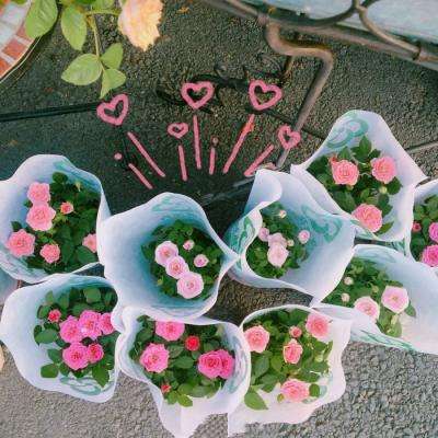 火狐官方网站app下载