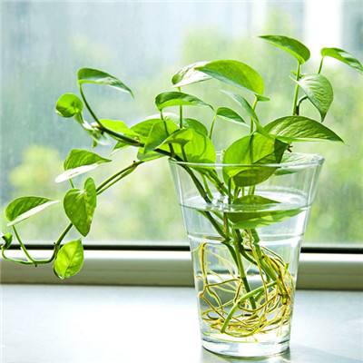 5848vip威尼斯电子游戏